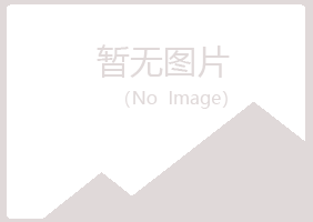 红原县字迹艺术有限公司